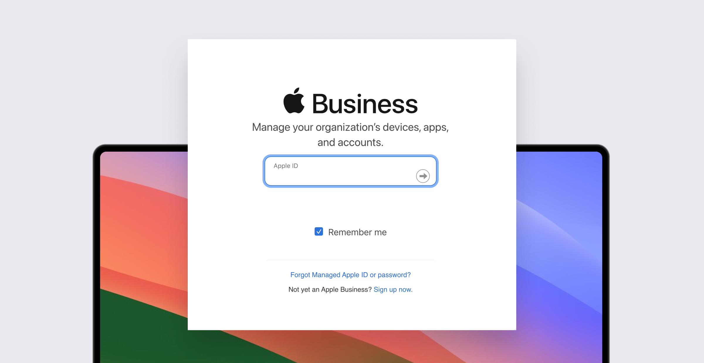 Apple id store for business